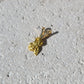 14k Gold Nugget Pendant
