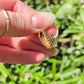 10k Clam Shell Pendant