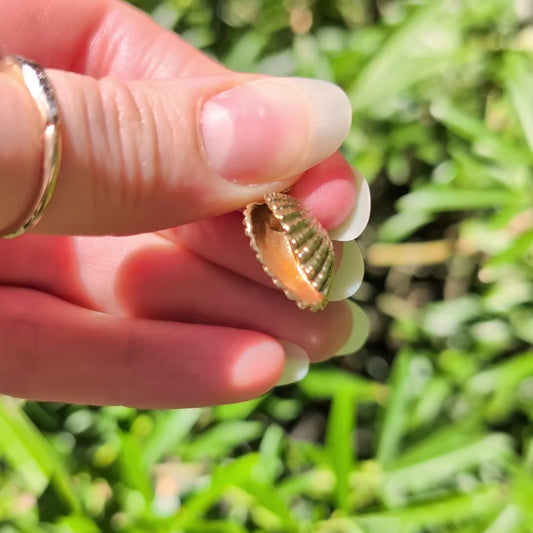 10k Clam Shell Pendant