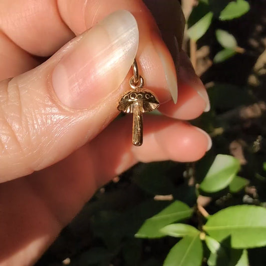 10k Mushroom Charm