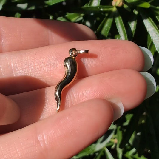 14k Cornicello Charm